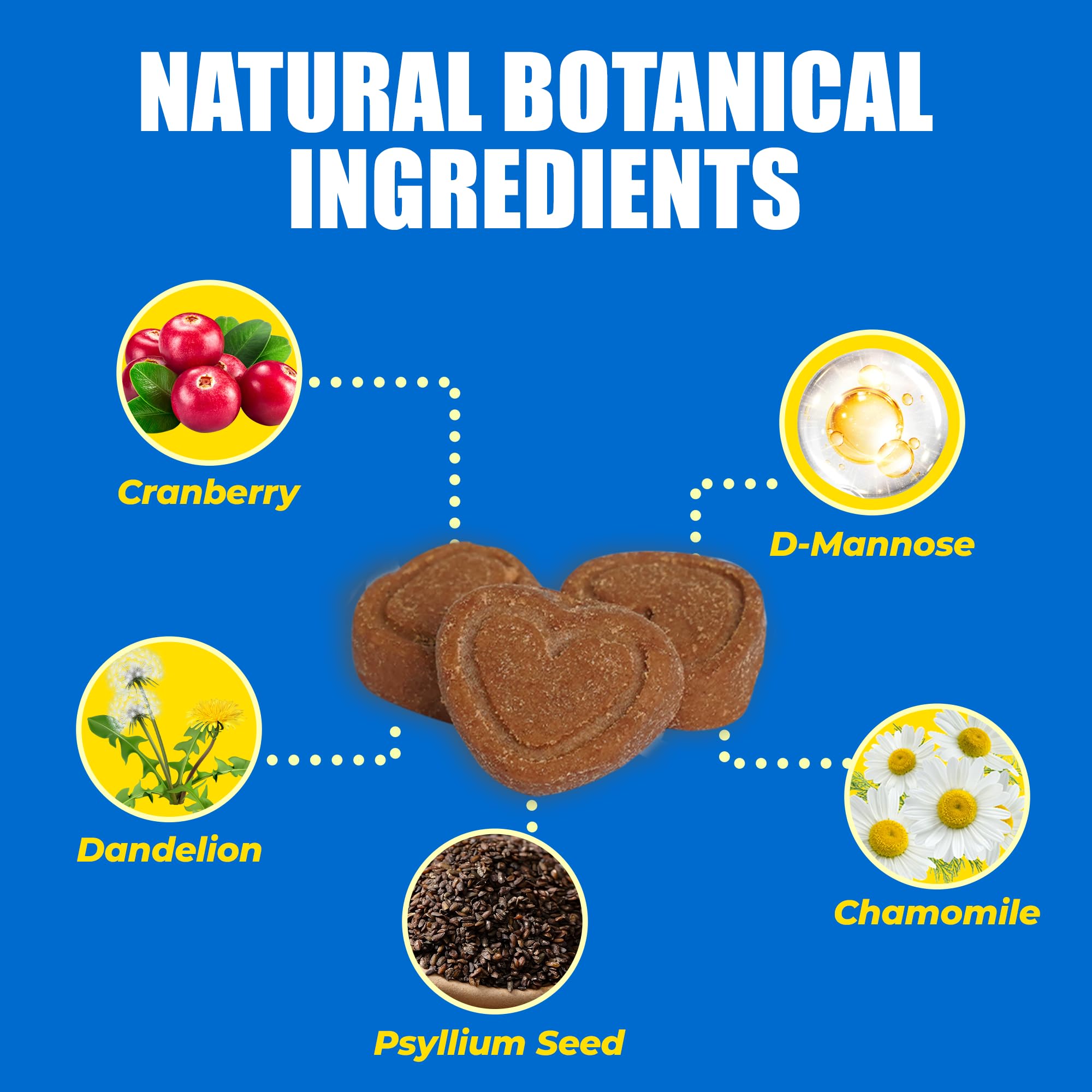 Just Try 300 Bites ingredients Cranberry and D-Mannose for urinary support.