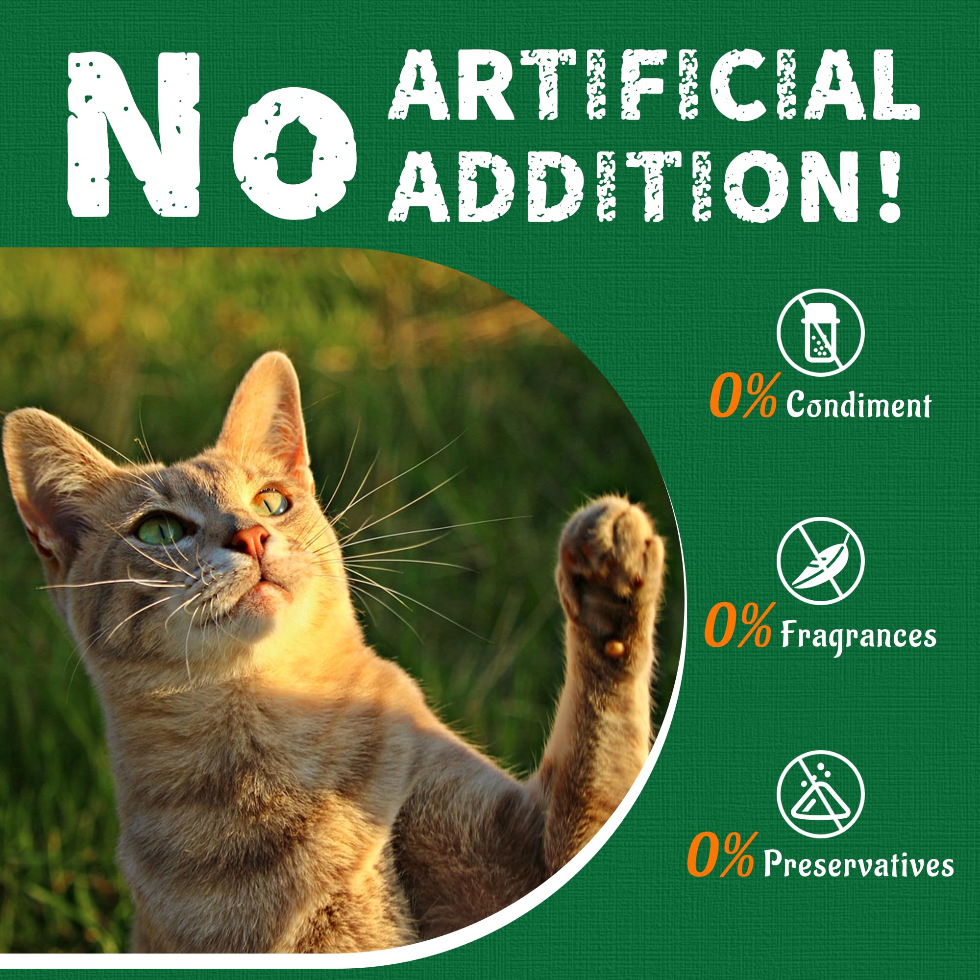 Just Try crunchy cat snacks ideal for training and playtime.