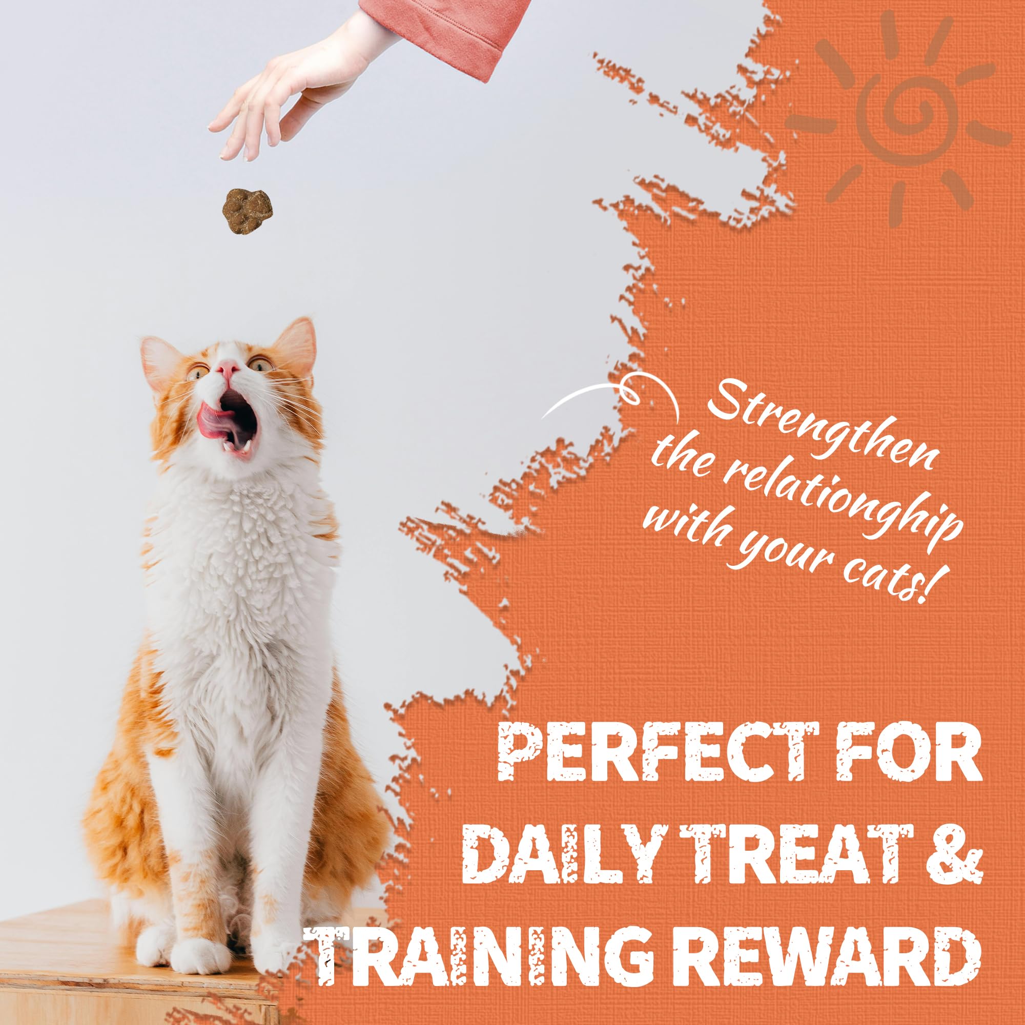 Just Try cat treats for urinary health, ready for everyday use.