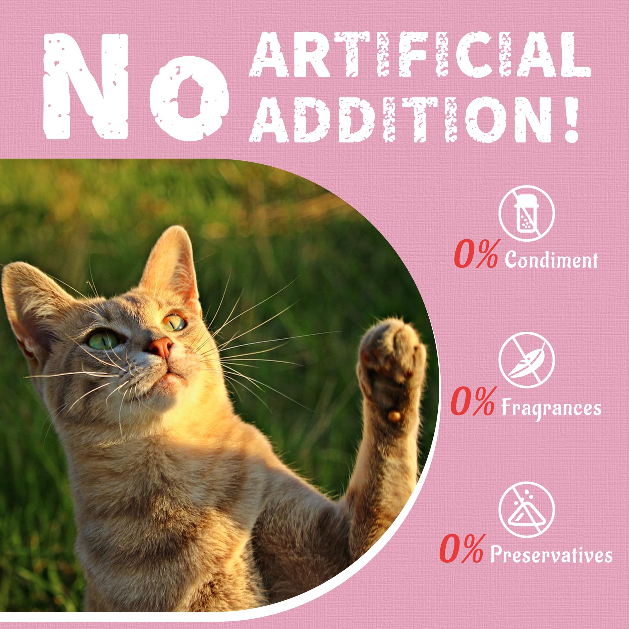 Real shrimp and omega-3 rich treats offer an appealing, nutritious option.