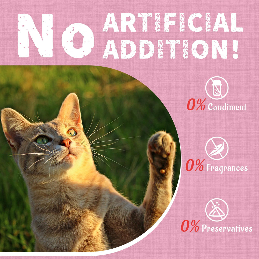 Real shrimp and omega-3 rich treats offer an appealing, nutritious option.