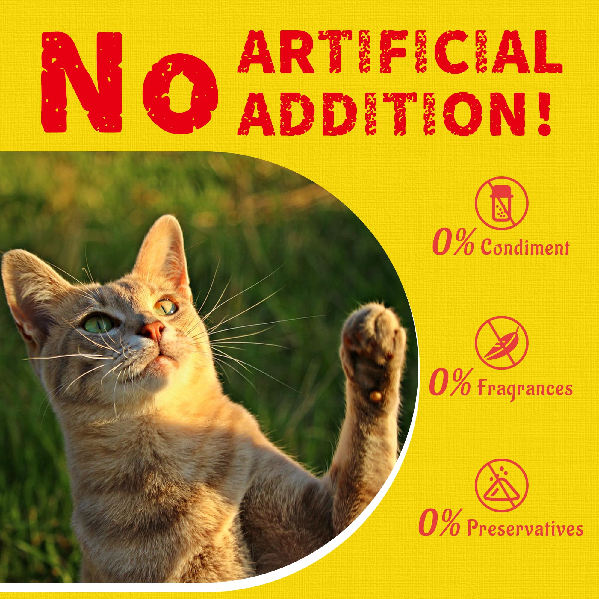 Just Try chicken cat treats jar-storage, keeps treats fresh for busy households.