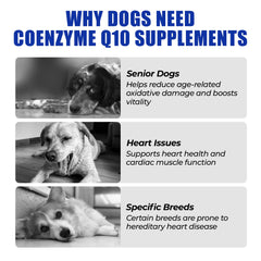 Just Try Coenzyme Q10 Heart Bites chews close-up highlighting easy dosing