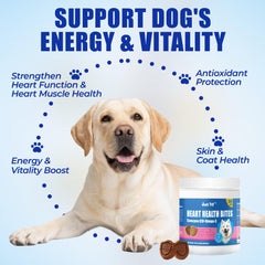 Just Try Coenzyme Q10 Heart Bites chicken-flavor chews