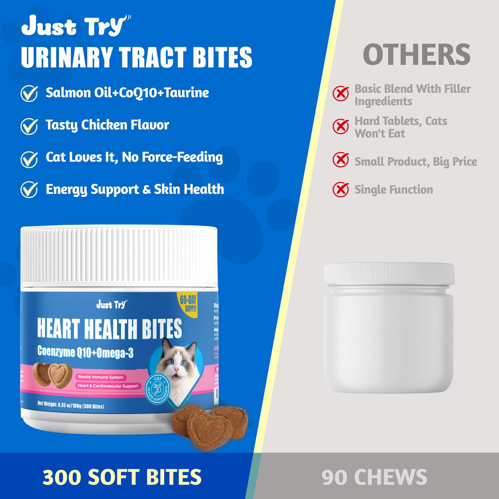 Just Try CoQ10 Cat Bites energy-focused chew shows active, happy indoor cats.