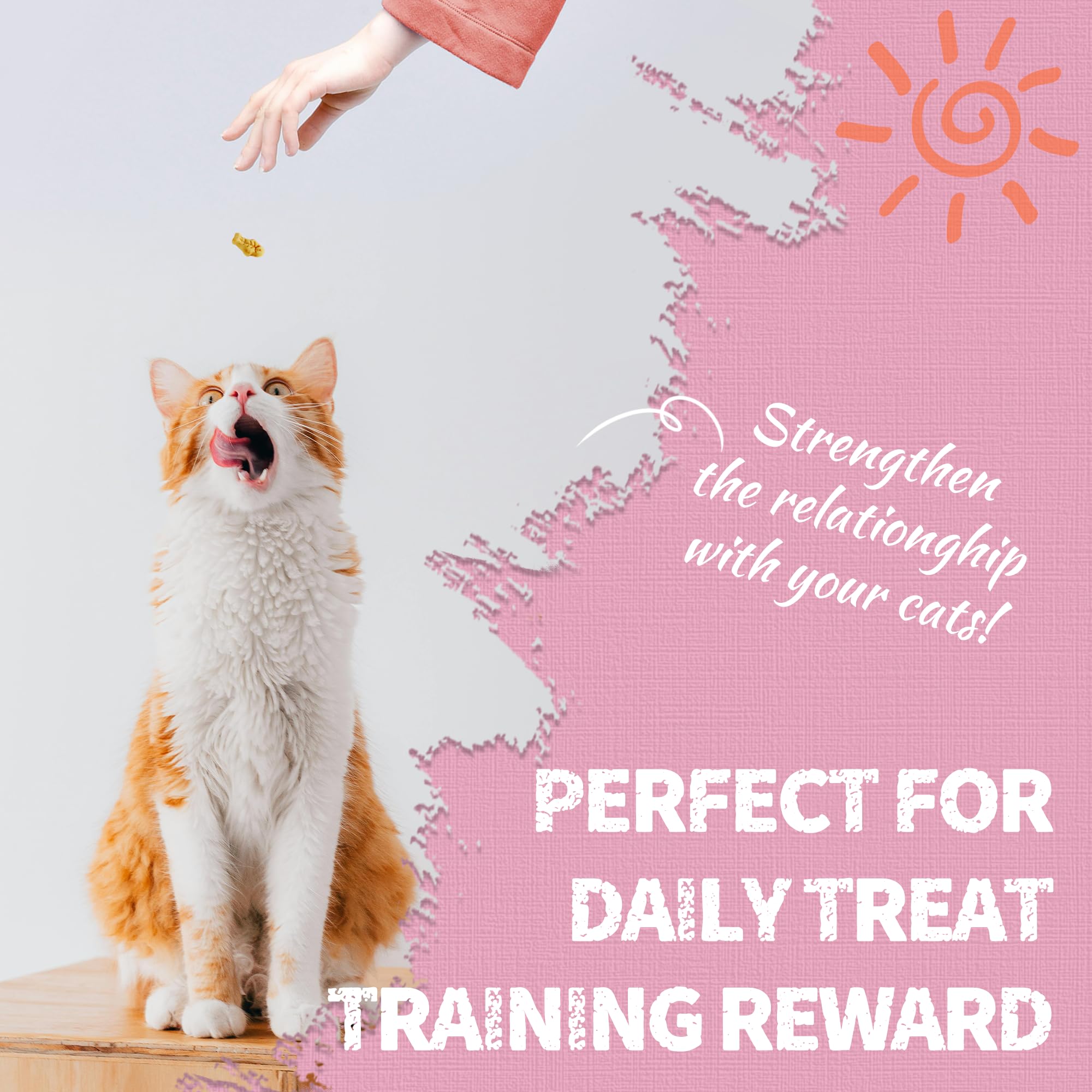 Ideal for indoor cats as a flavor-packed snack.
