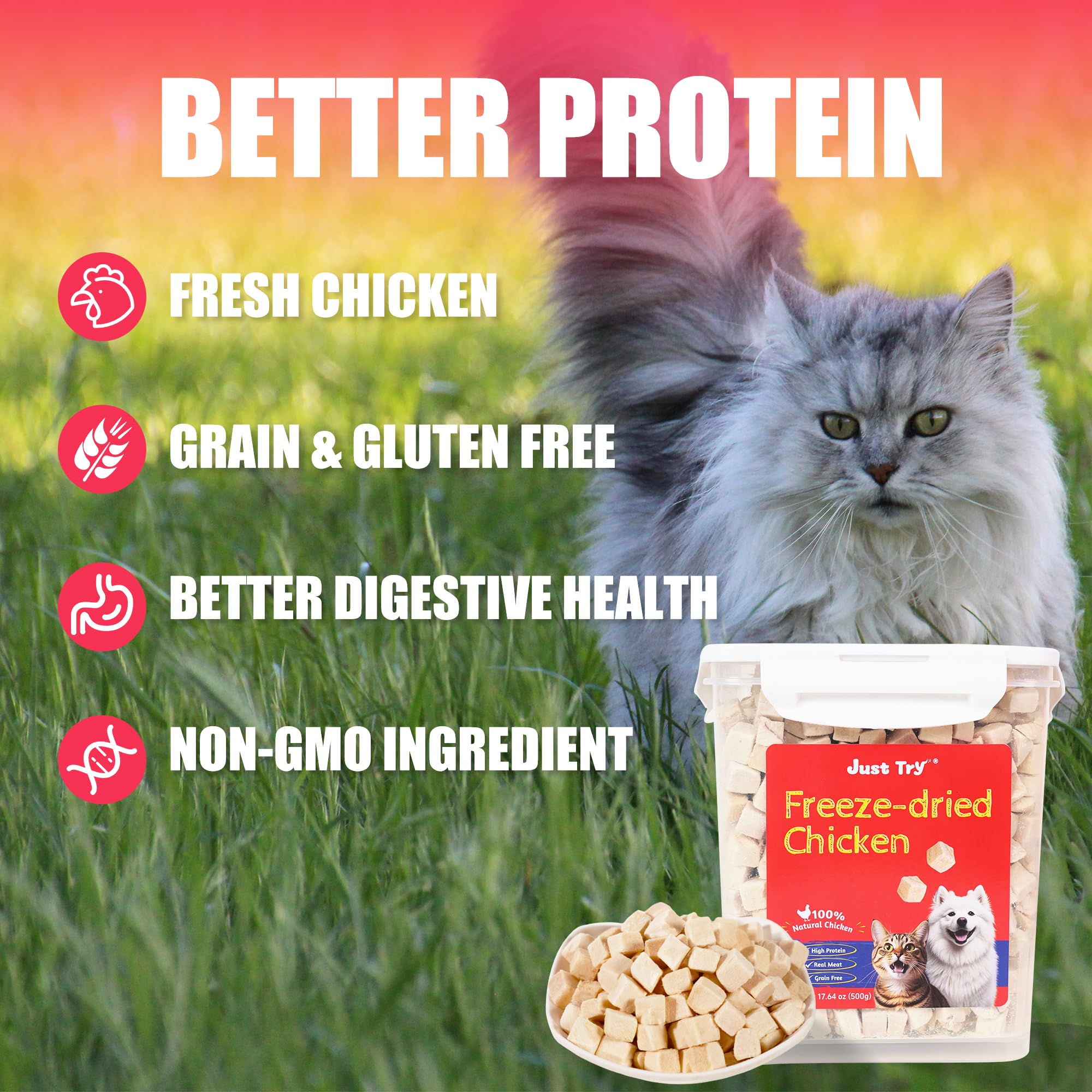 Just Try freeze-dried flavor preserved to preserve freshness and taste