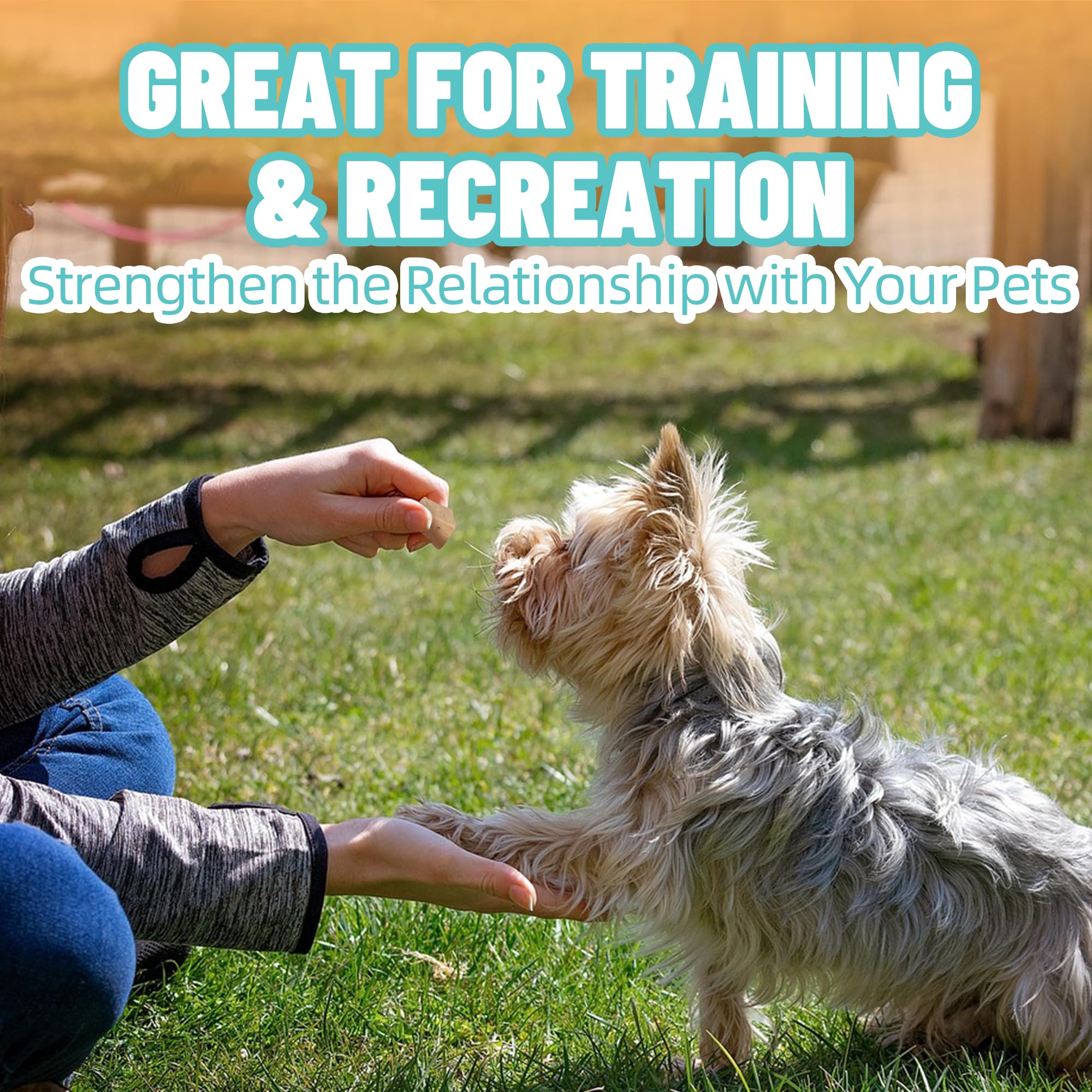 Just Try treats used as a high-value training reward