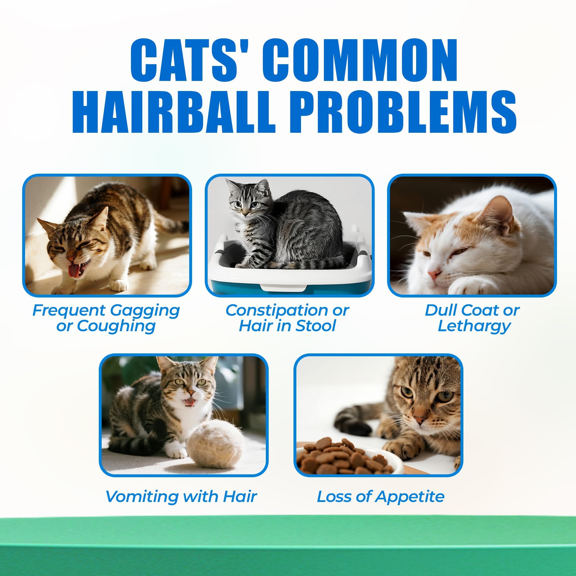 Just Try hairball chews with cat grass for digestive balance.