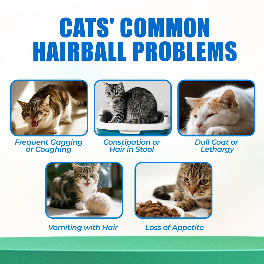 Just Try hairball chews with cat grass for digestive balance.