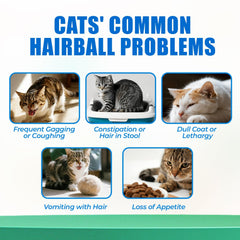 Just Try hairball chews with cat grass for digestive balance.
