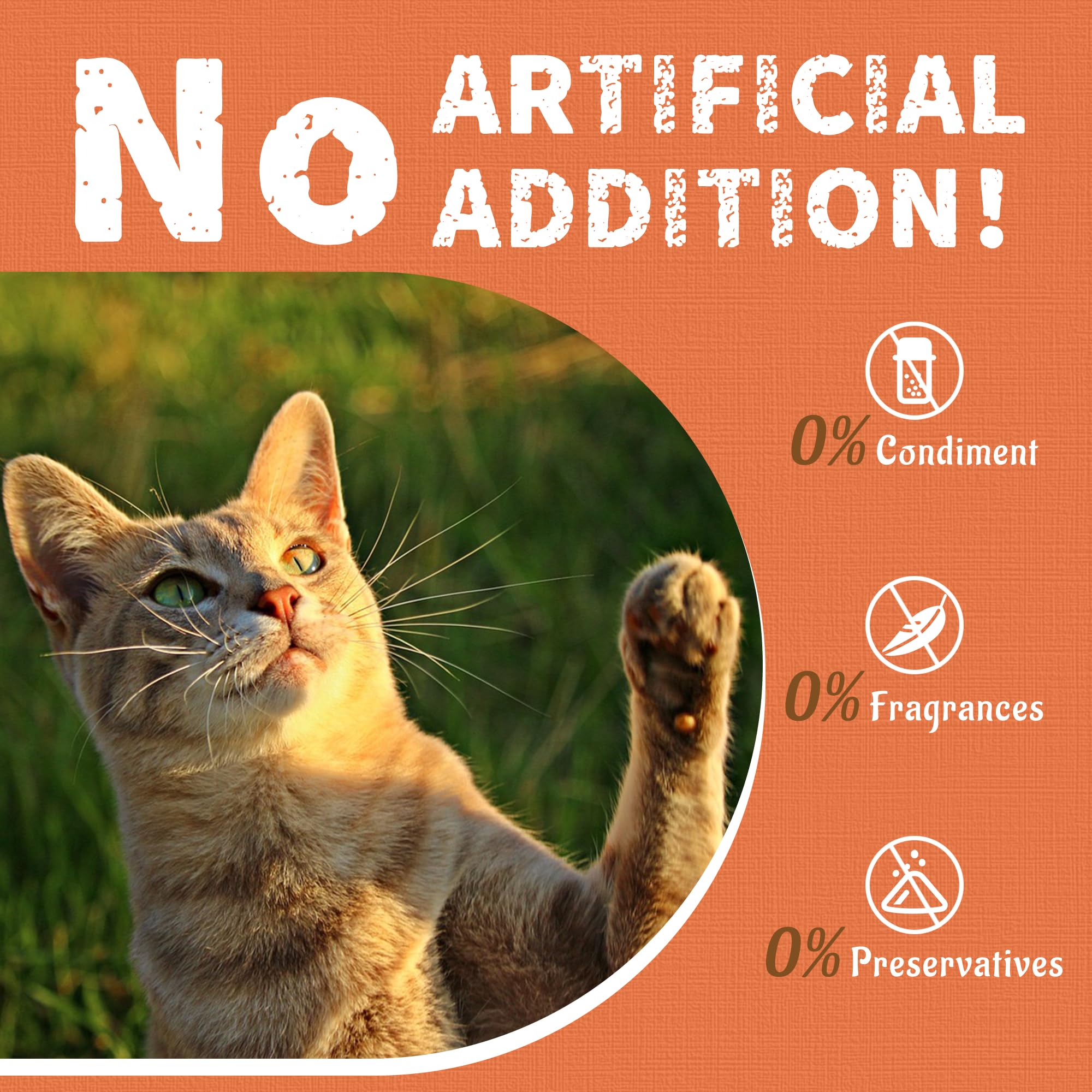 Just Try Hairball Support senior-cat snack, a low-calorie option