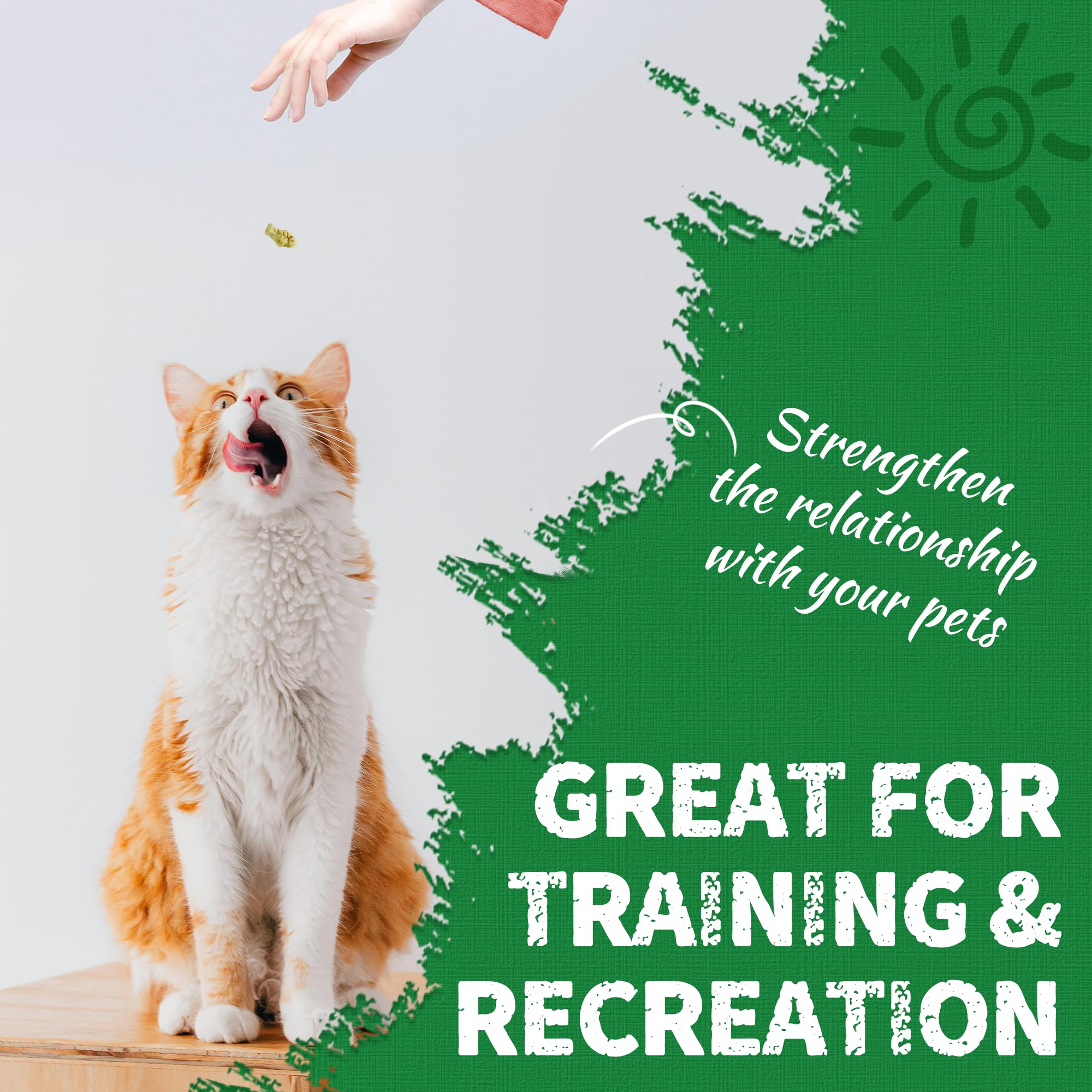 Just Try kitten-friendly snacks appealing to both kittens and adults.