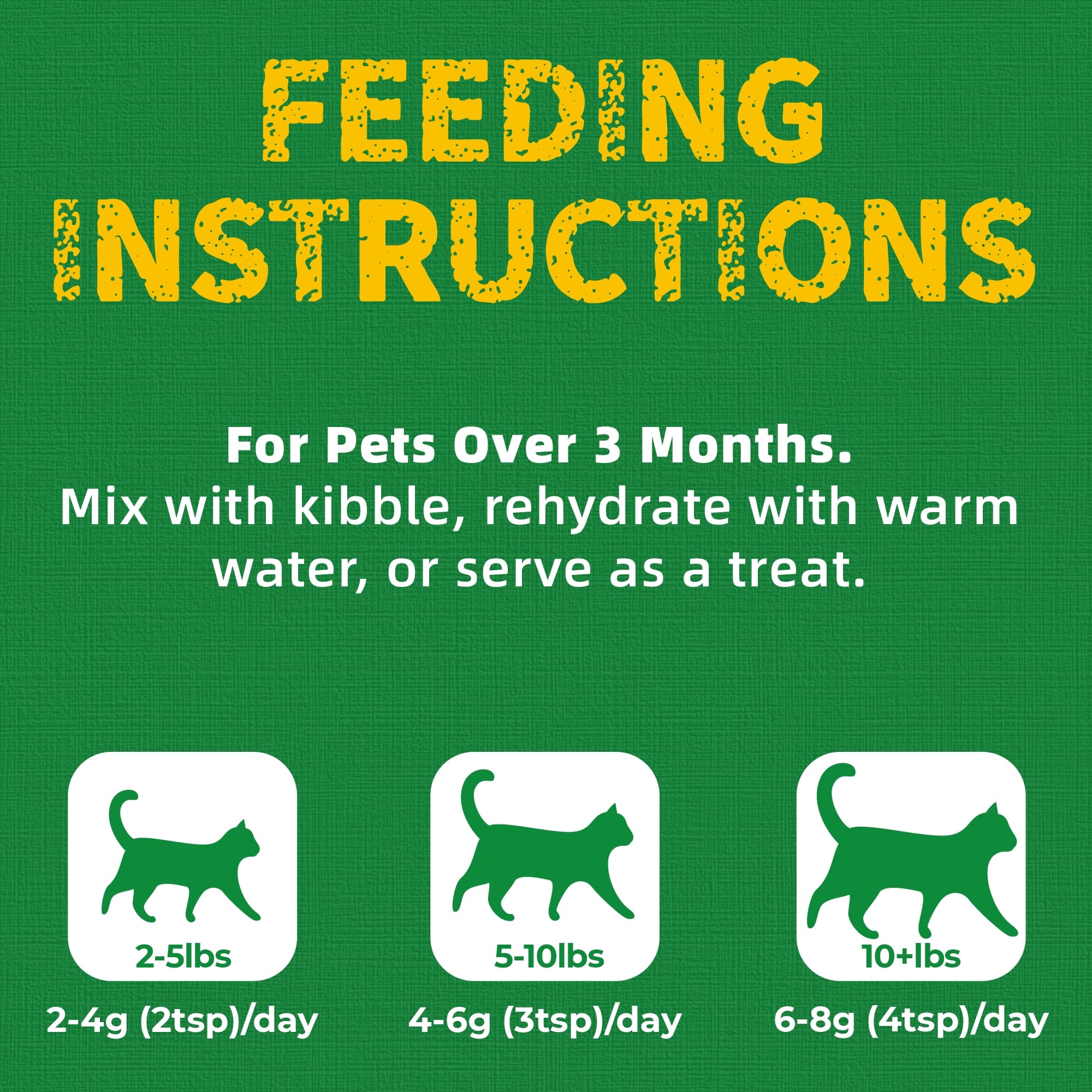 Just Try kitten snacks offer gentle rewards to socialize and bond.