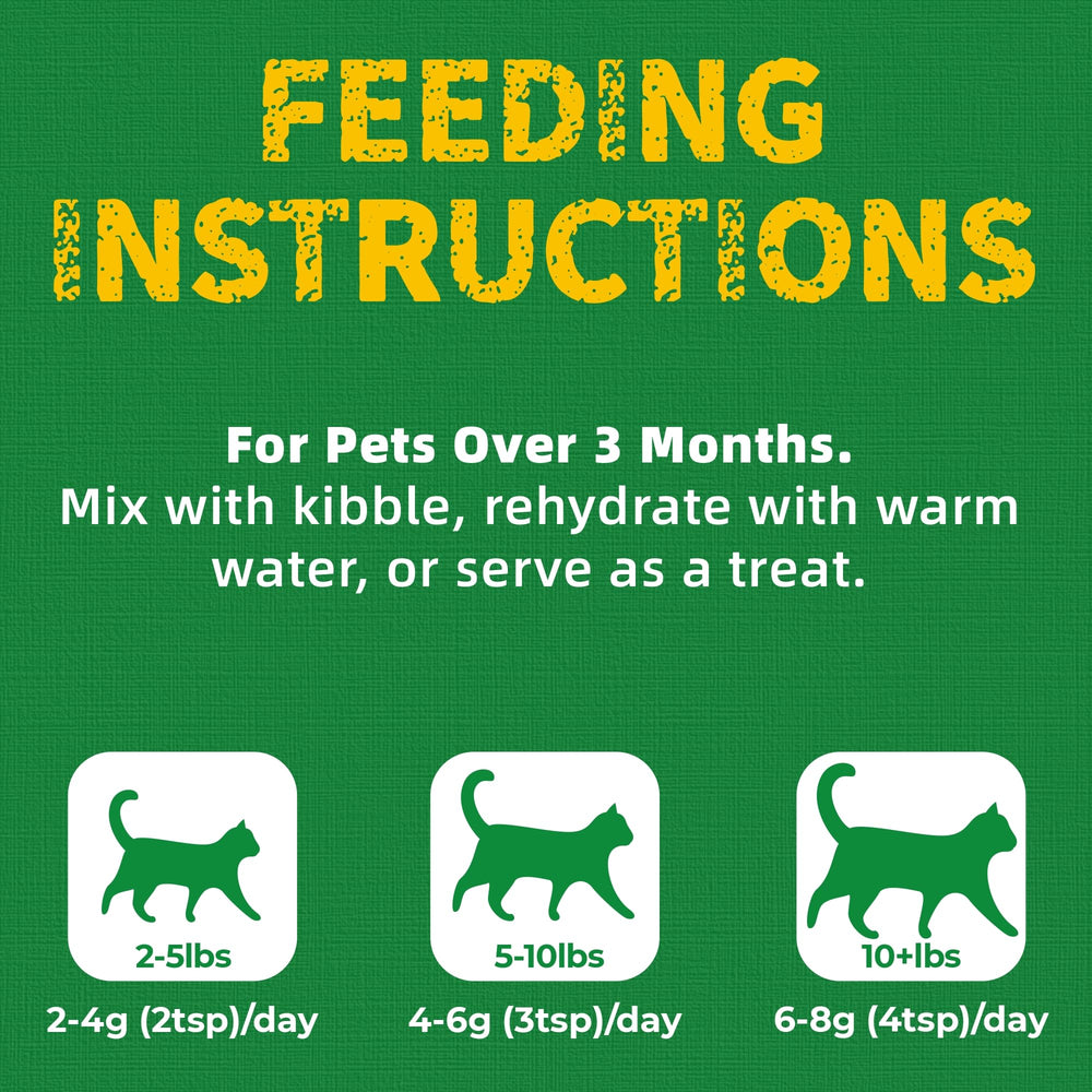 Just Try kitten snacks offer gentle rewards to socialize and bond.