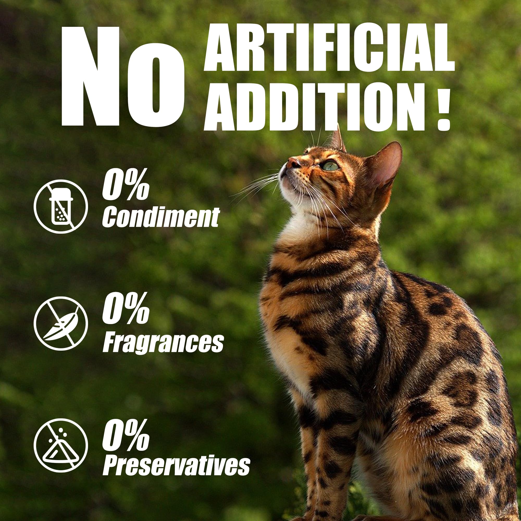Just Try low-calorie protein snack for weight-conscious pets.