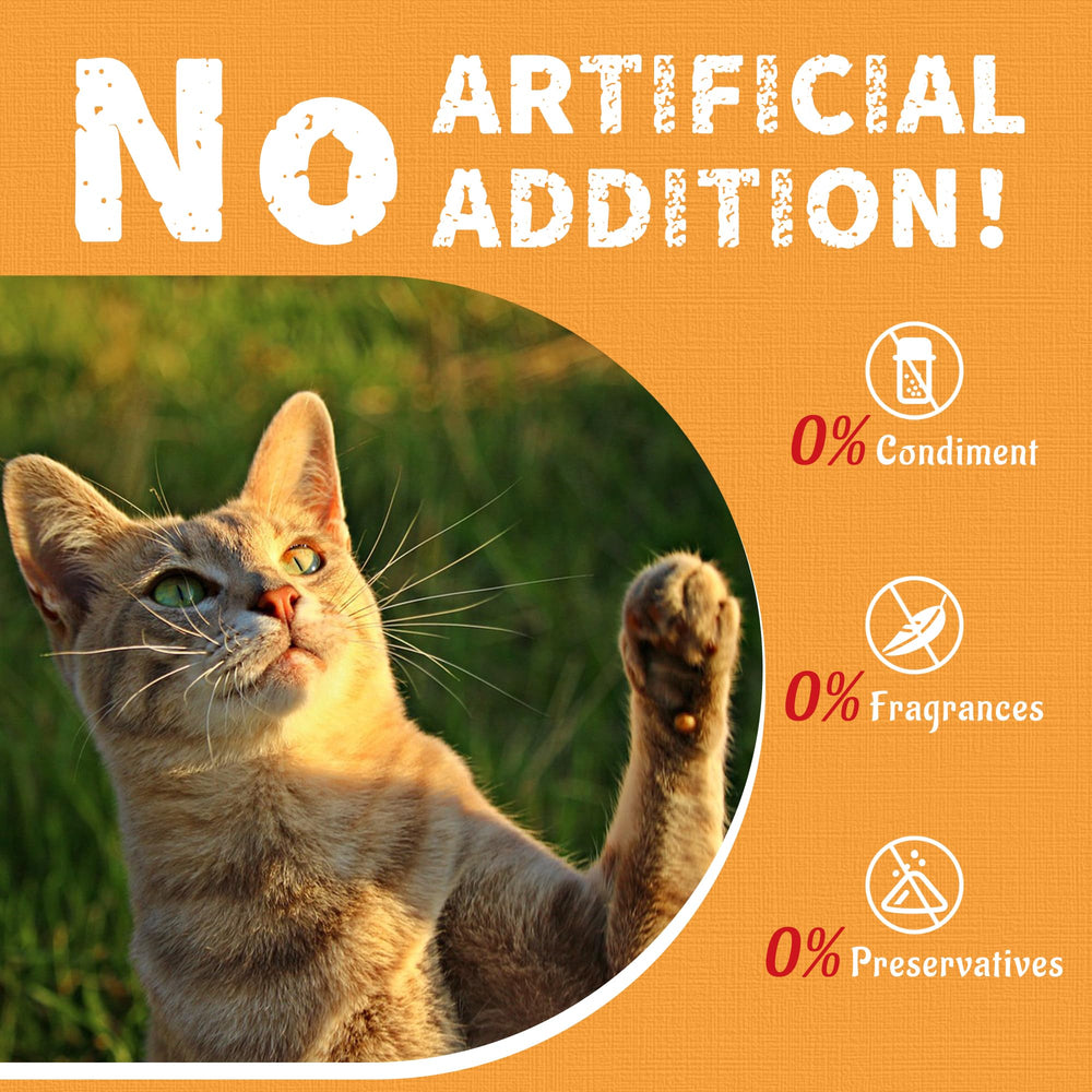Just Try low-calorie treats suitable for all-age cats.