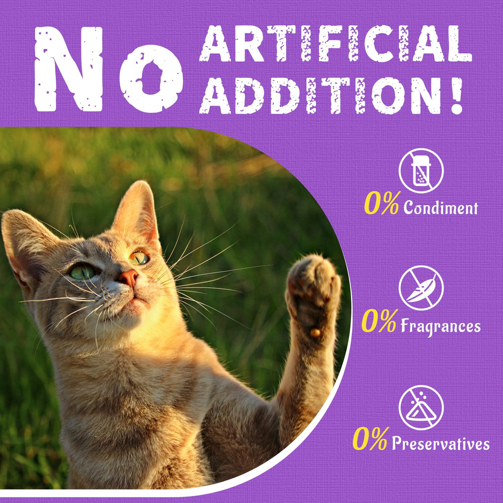 Just Try Lysine Cat Treats low-calorie option for daily feline snacking.