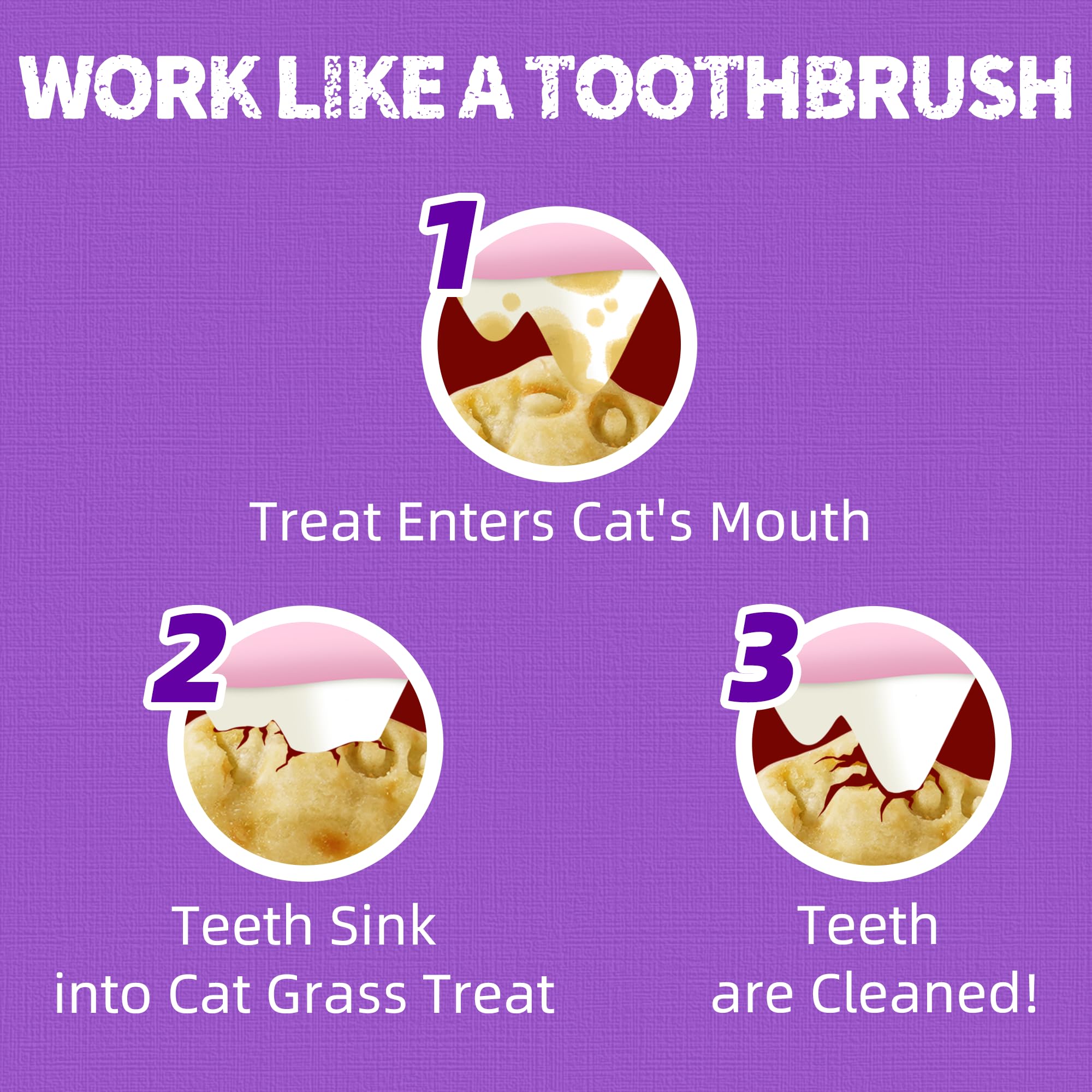 Just Try Lysine Cat Treats stay-fresh jar for easy storage.