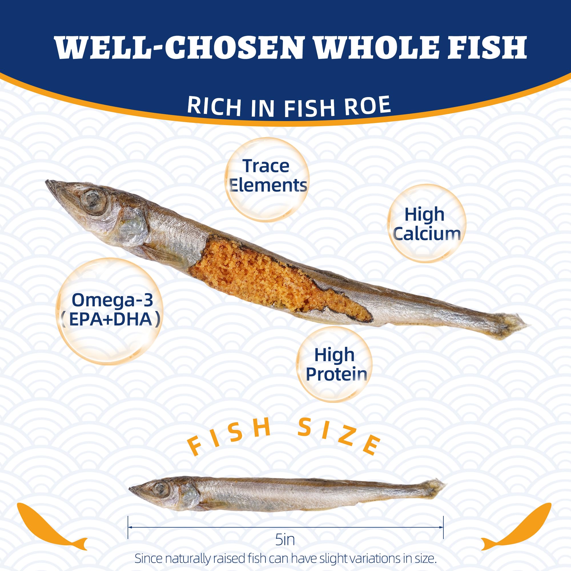 Just Try minnow omega-3 graphic showcasing DHA and EPA for skin and coat health.