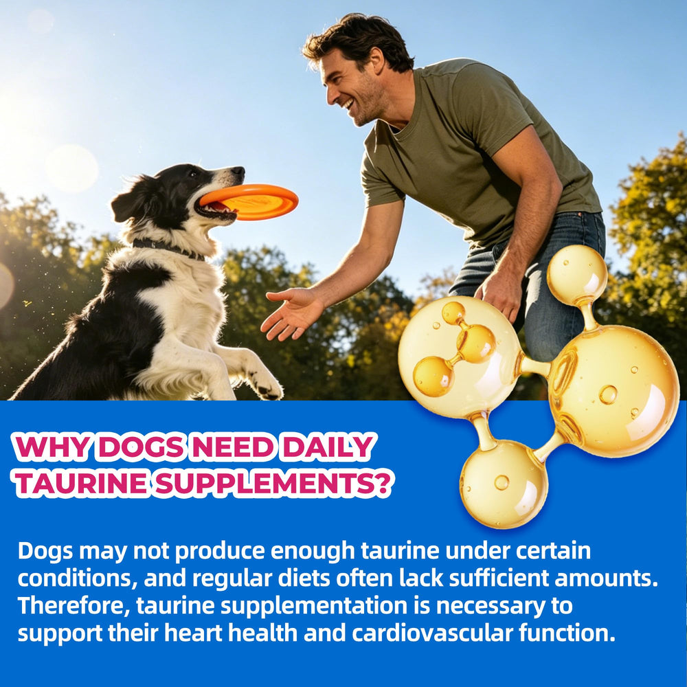 Just Try omega-3 fish oil for shiny coat and healthy skin