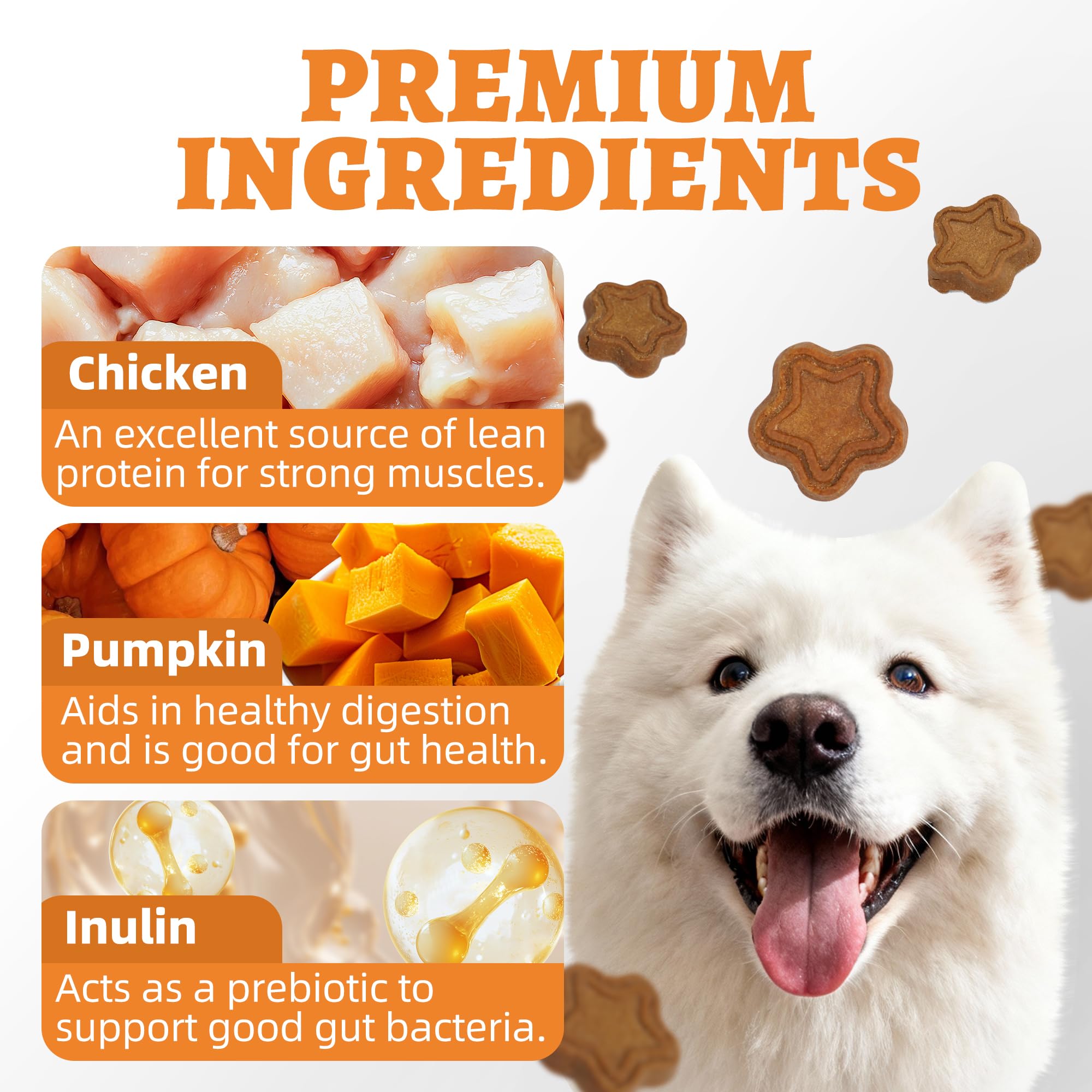 Just Try pumpkin dog treats dental crunch texture for teeth care