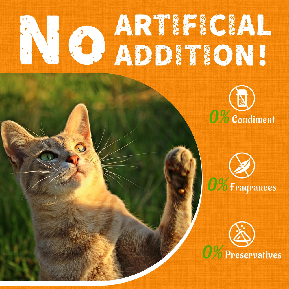 Just Try resealable jar of cat treats keeps freshness and portion control