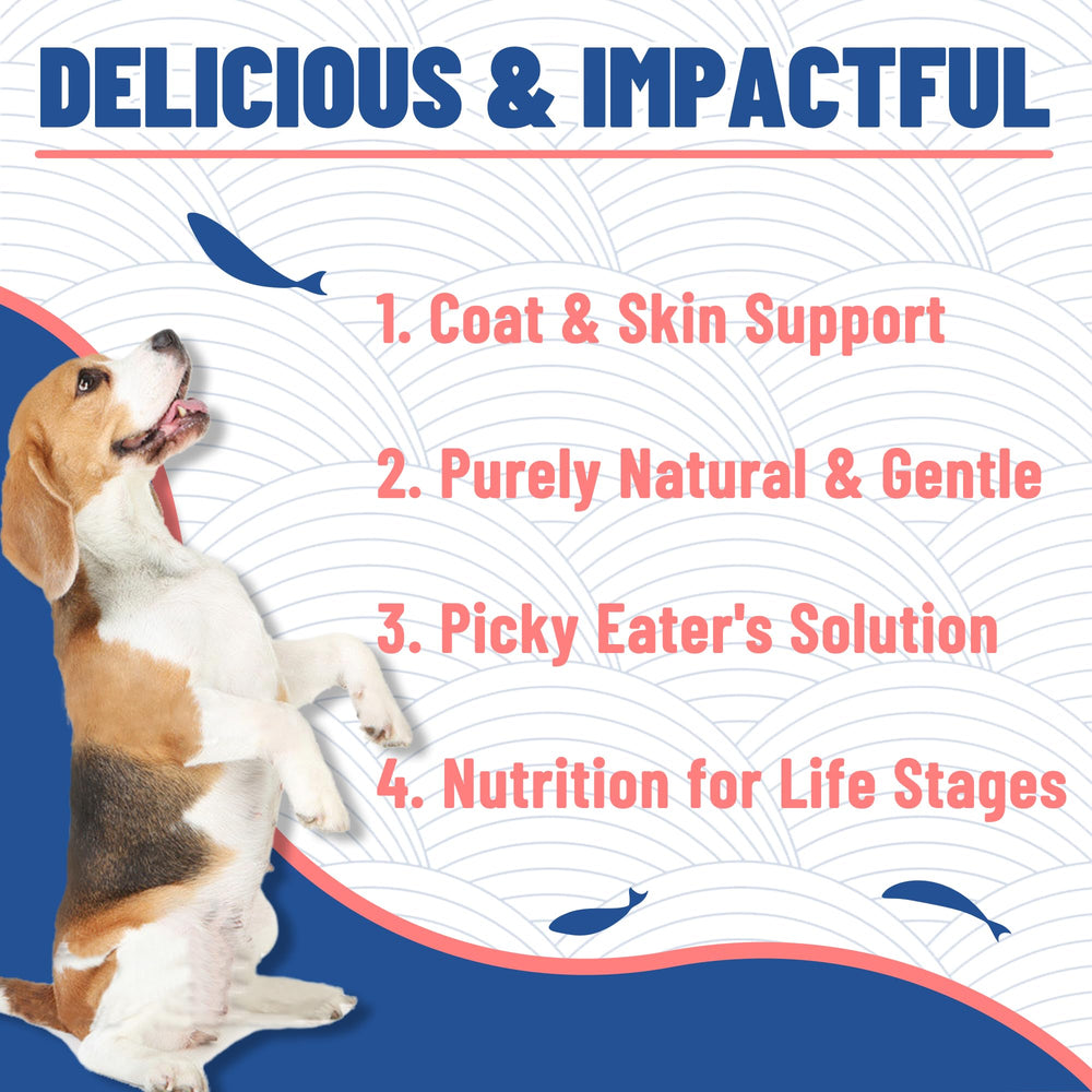 Just Try salmon treats cat snack highlighting high-protein and omega-rich pet nourishment.