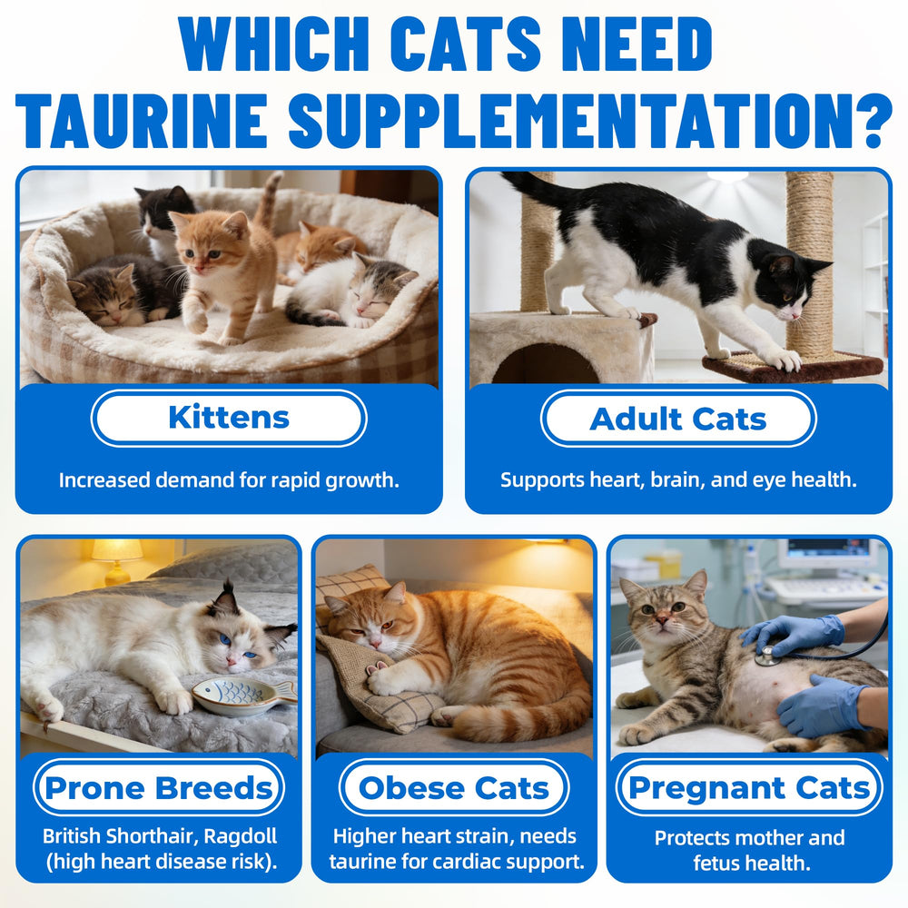 Just Try Taurine Bites chicken flavor close-up, a tasty treat cats enjoy