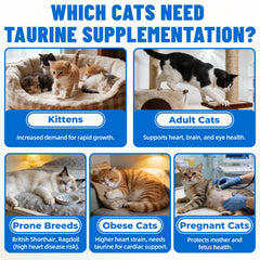 Just Try Taurine Bites chicken flavor close-up, a tasty treat cats enjoy