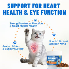 Just Try Taurine Bites ingredients panel showing L-Carnitine and Omega-3 benefits