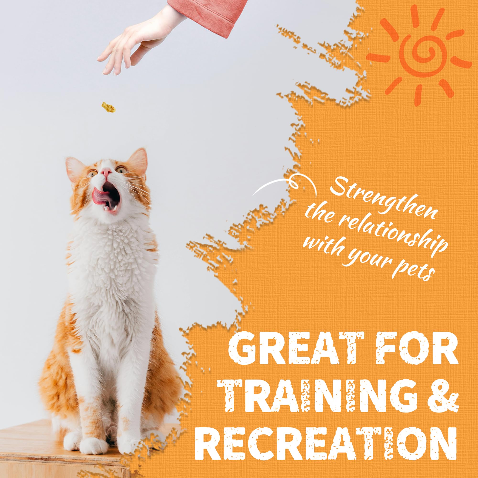 Just Try training rewards scene showing cat responding to treats.