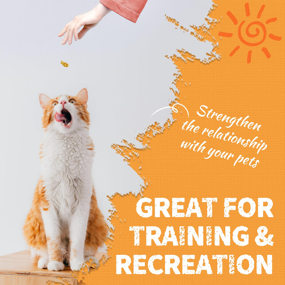 Just Try training rewards scene showing cat responding to treats.
