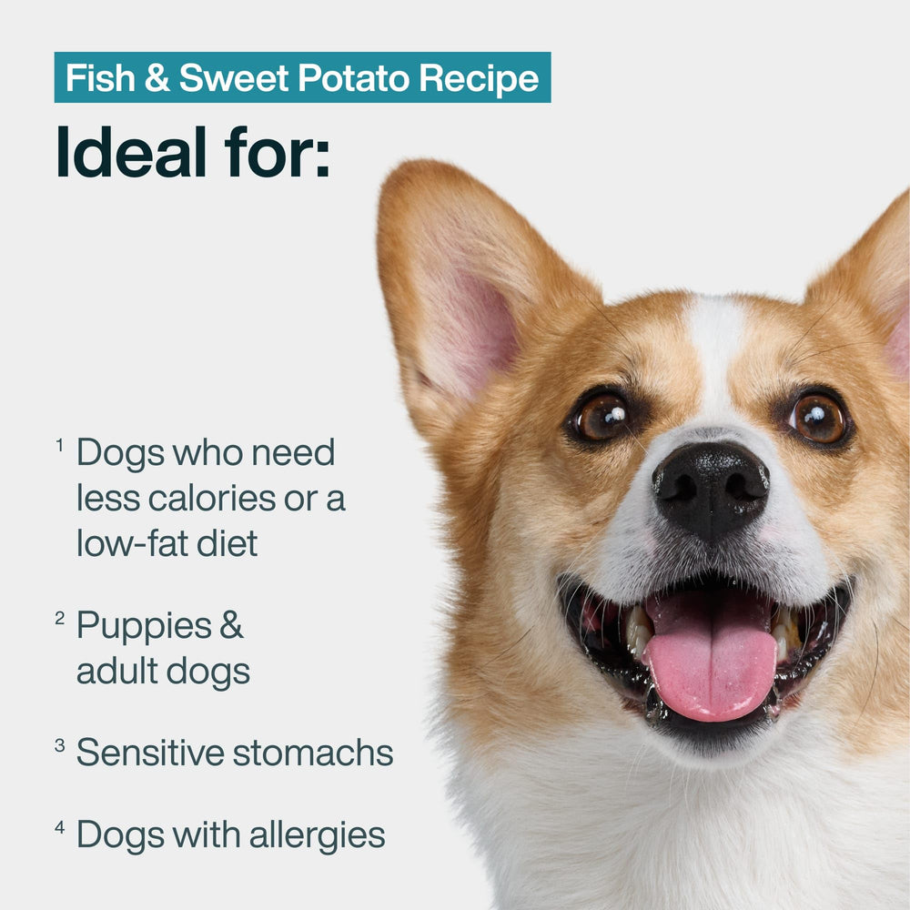 JustFoodForDogs-18oz-7pack-packaging displays convenient, ready-to-serve meals for busy pet parents.