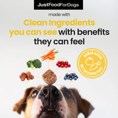 JustFoodForDogs algae oil bottle pour highlights omega-3 for joints and skin health.