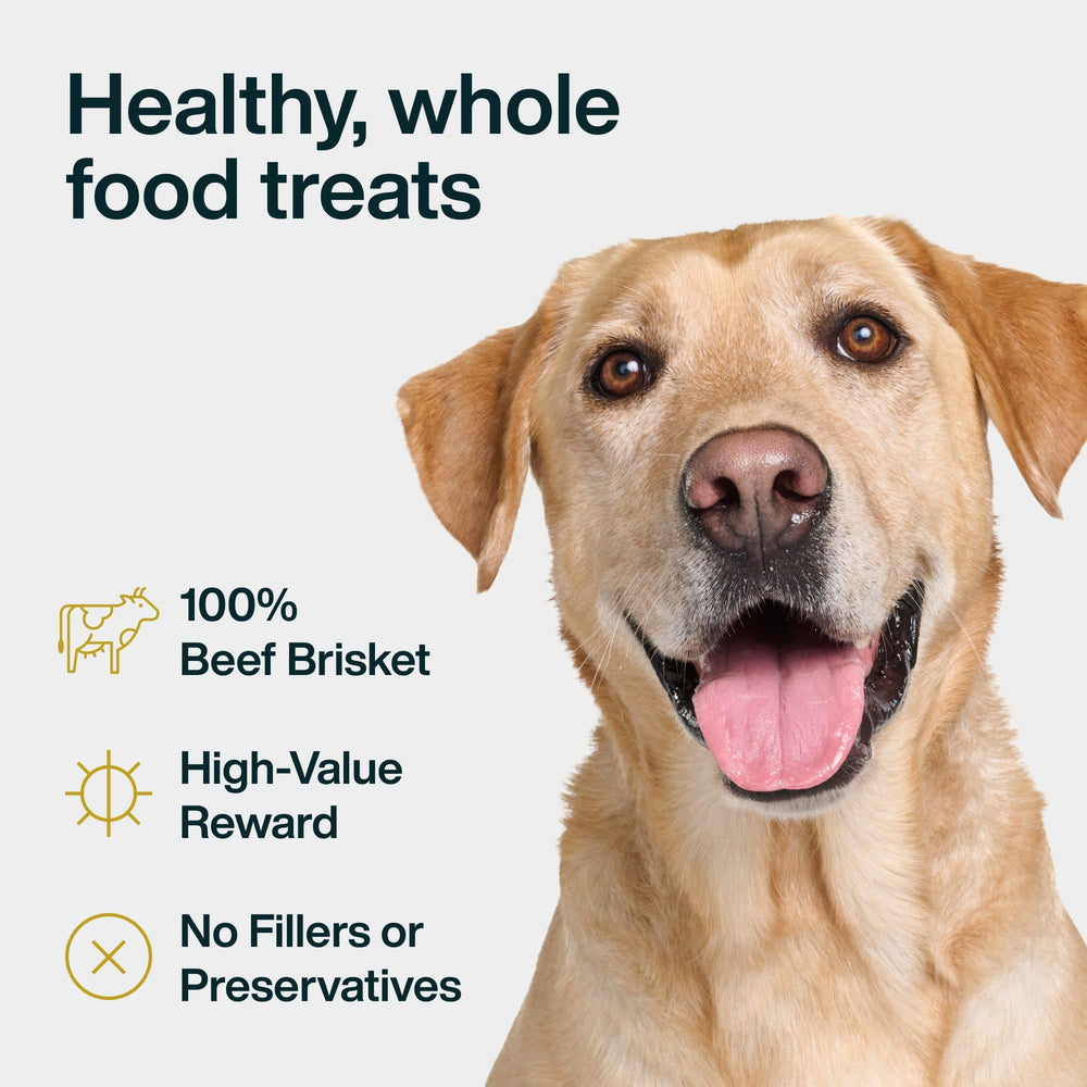 JustFoodForDogs beef brisket treat bite shows small, bite-size piece for training rewards.
