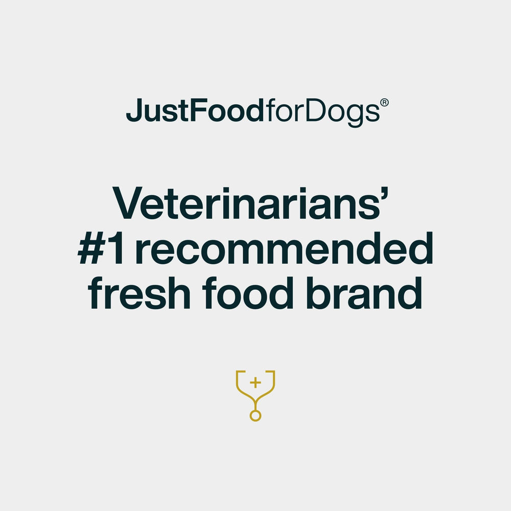 JustFoodForDogs beef brisket treat training shot demonstrates a high-value reward.