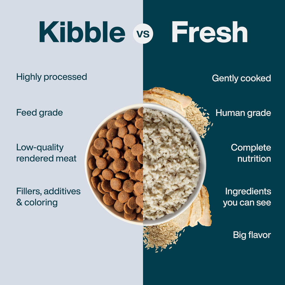 JustFoodForDogs digestibility comparison concept with kibble