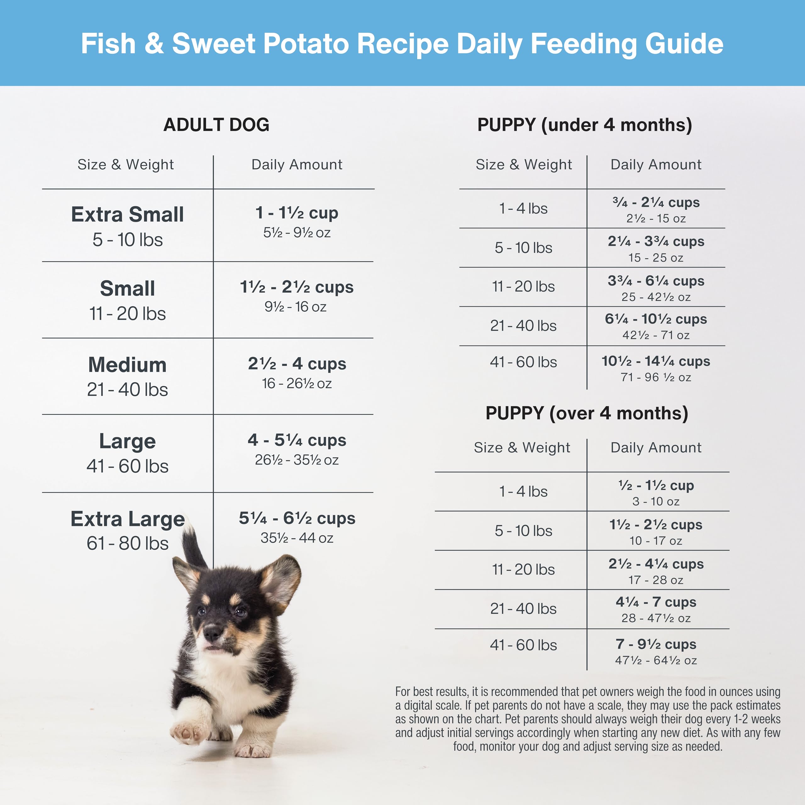 JustFoodForDogs DIY meal topper enhances flavor and hydration