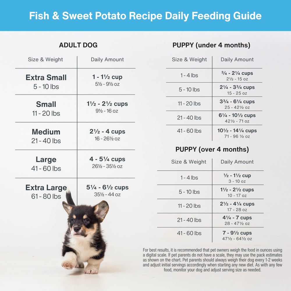 JustFoodForDogs DIY meal topper enhances flavor and hydration