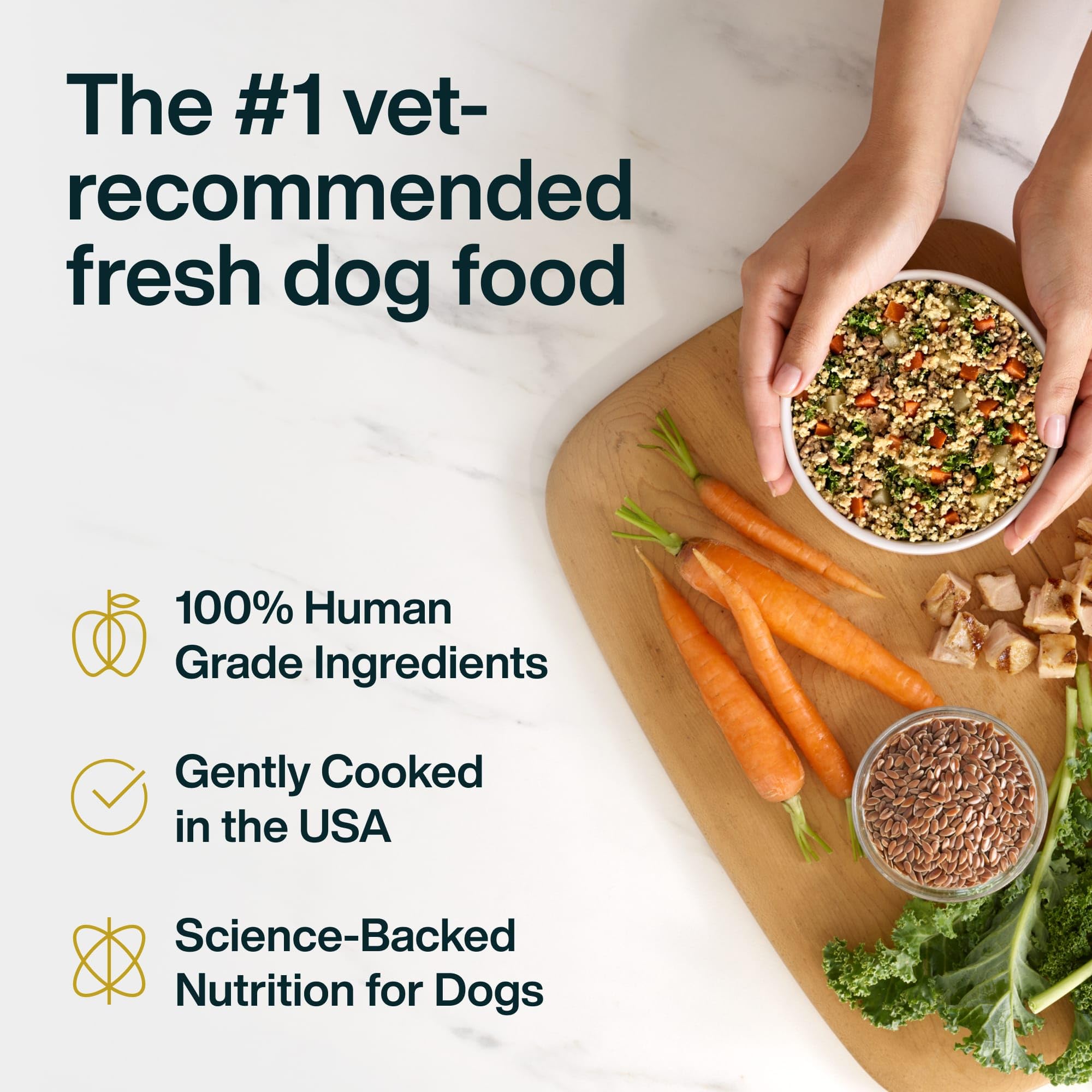 JustFoodForDogs dog enjoying a healthy meal from a bowl, ideal for picky eaters.