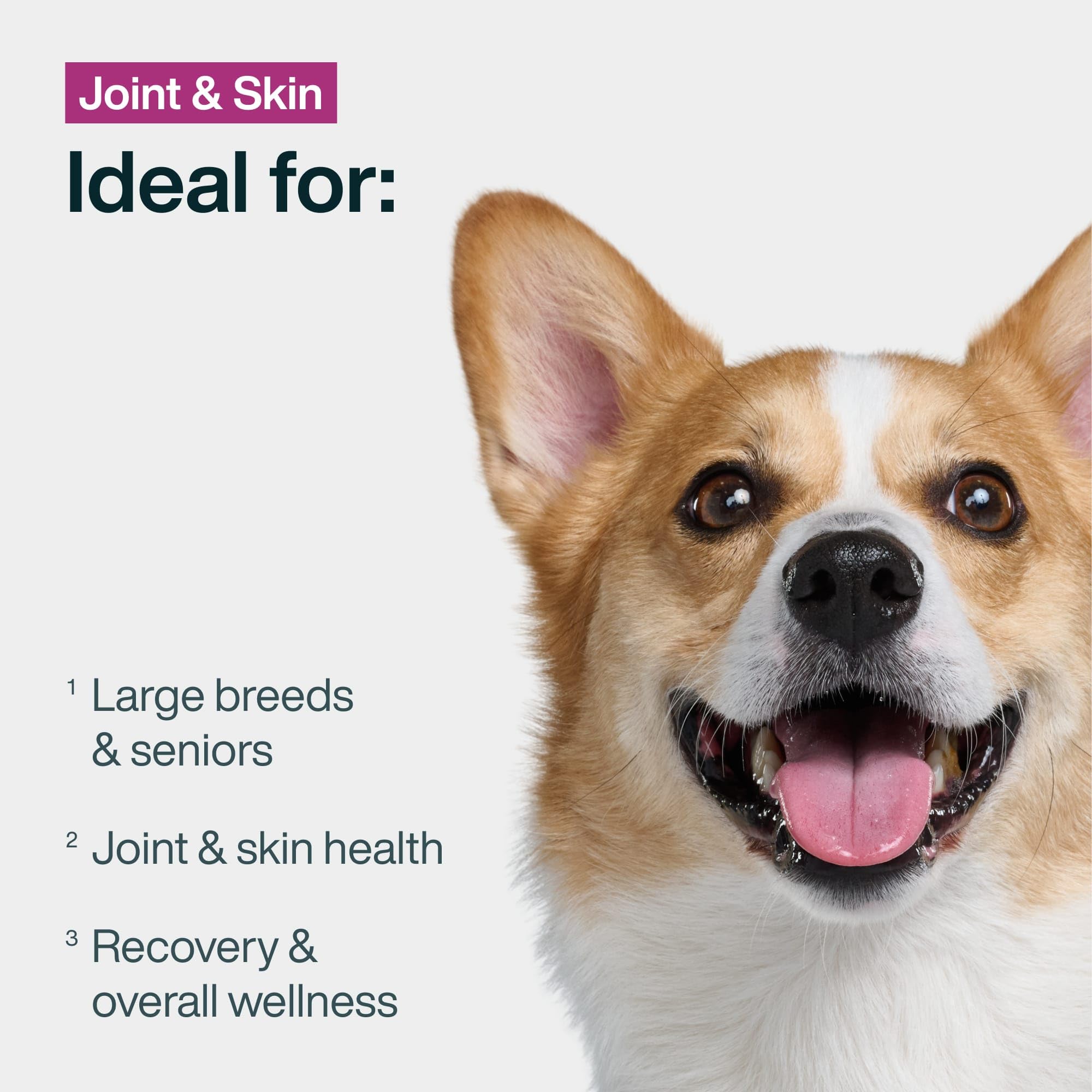 JustFoodForDogs fresh ingredients closeup showing quality real foods for joint and skin support.