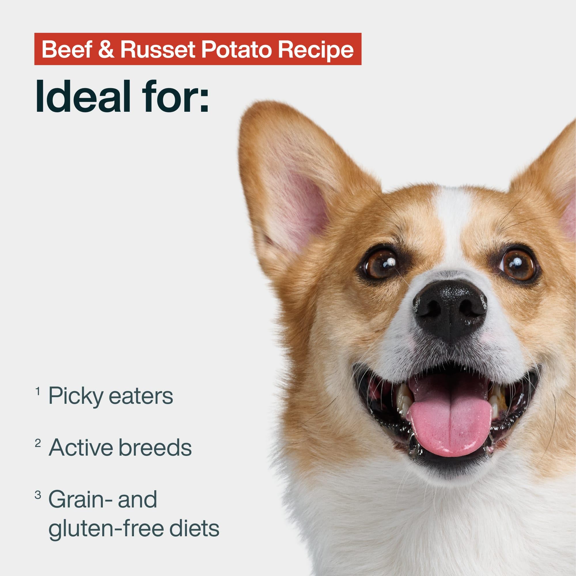 JustFoodForDogs frozen beef-russet-potato meal blocks closeup compact portions for easy servings