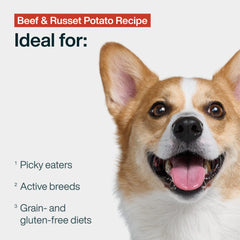 JustFoodForDogs frozen beef-russet-potato meal blocks closeup compact portions for easy servings