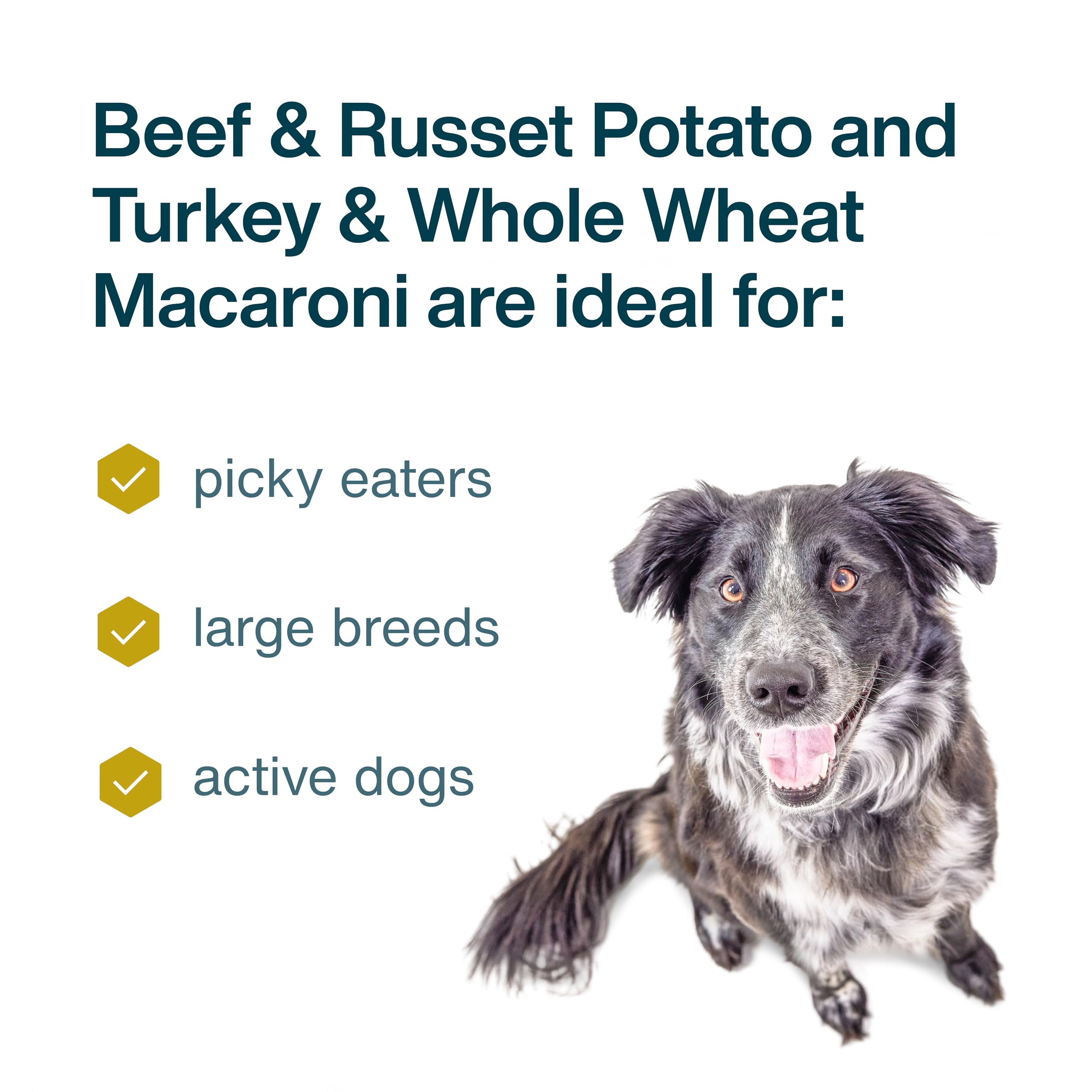 JustFoodForDogs frozen turkey topper adds flavor for picky eaters.