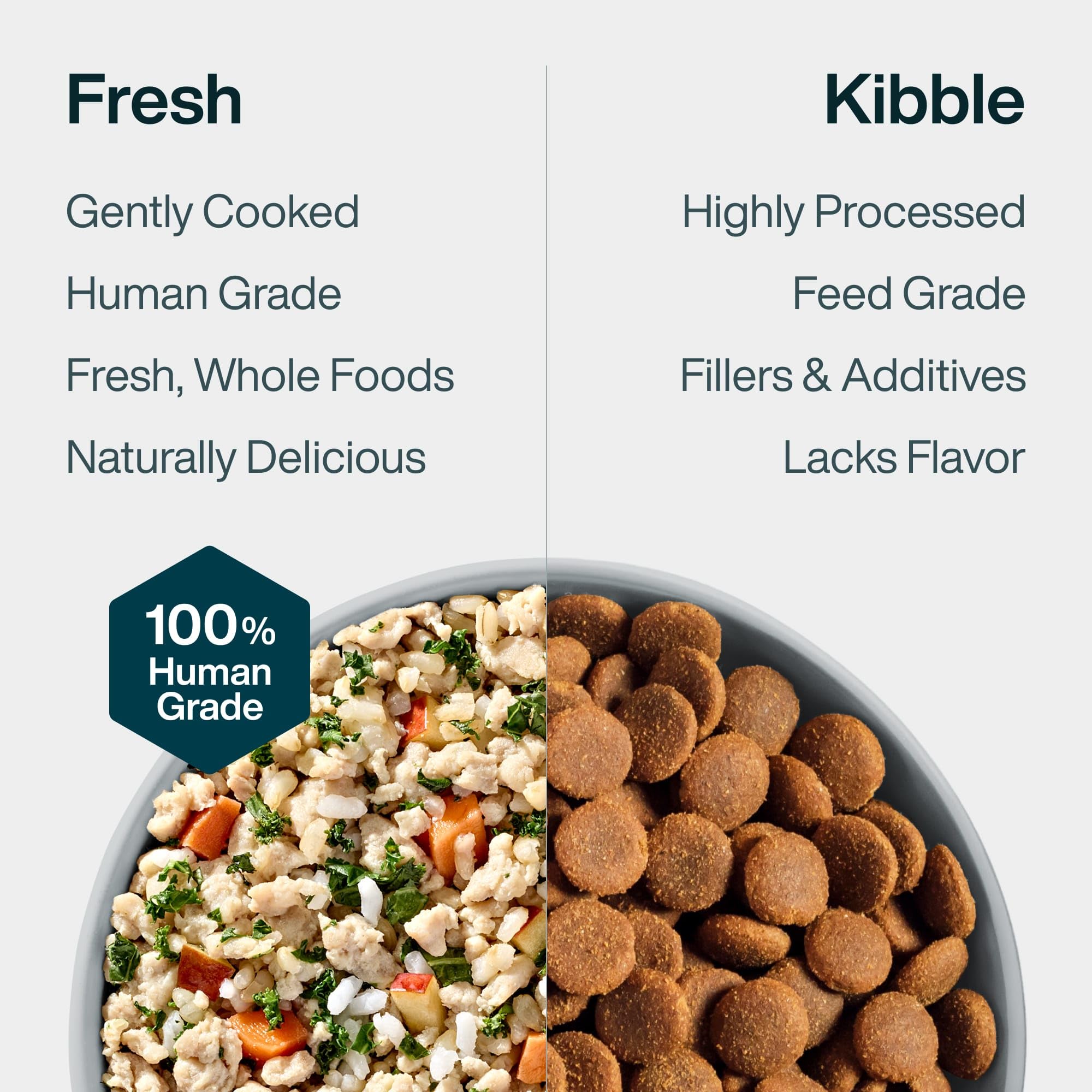 Healthy-looking coat and skin potential benefits with JustFoodForDogs.
