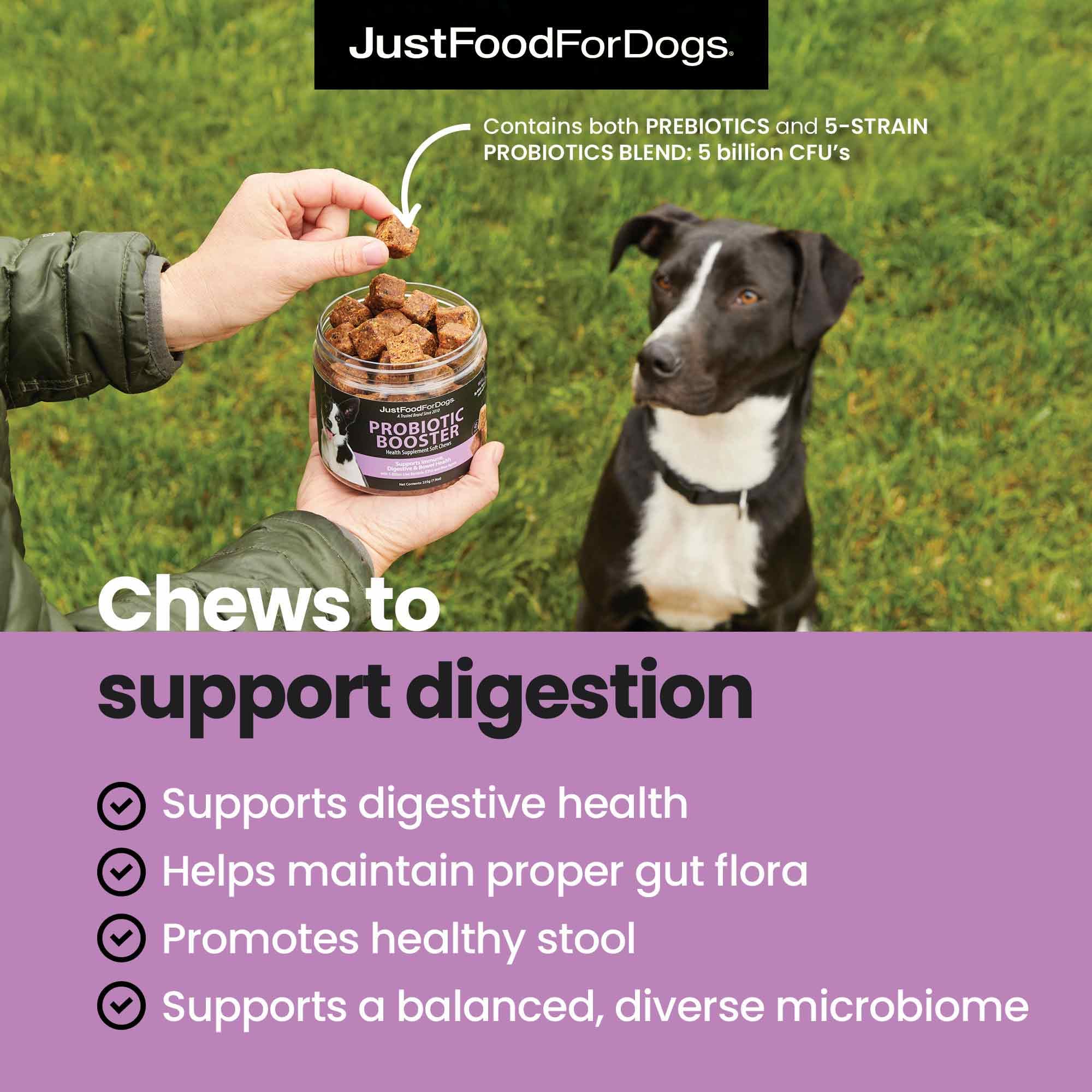 Close-up of JustFoodForDogs Hip & Joint Soft Chews texture for easy daily use.