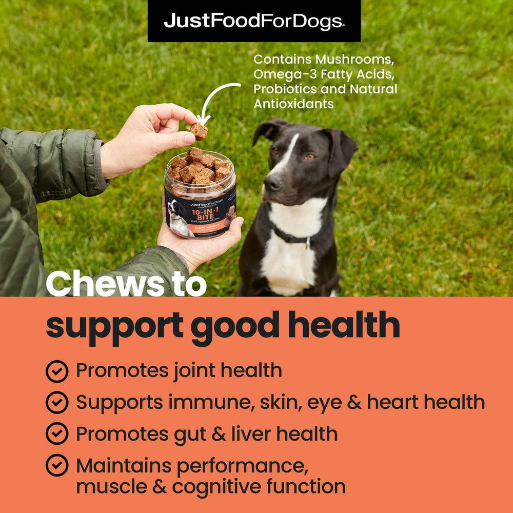 JustFoodForDogs hip joint soft chews closeup shows real ingredients and chewy texture