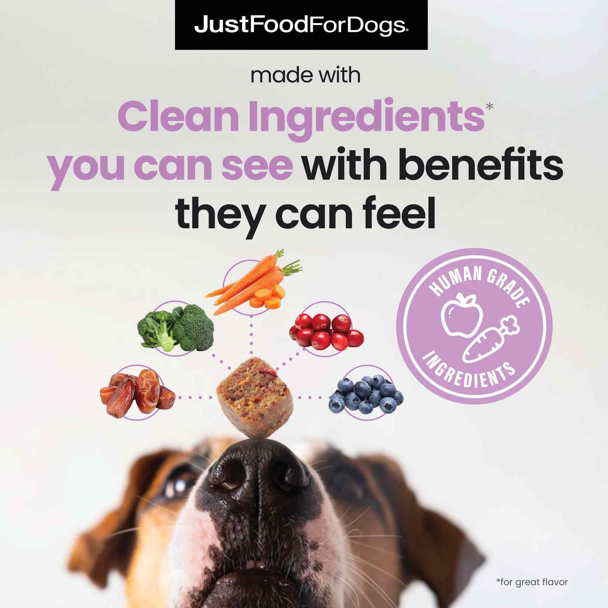 JustFoodForDogs Hip & Joint Soft Chews label highlighting natural ingredients.