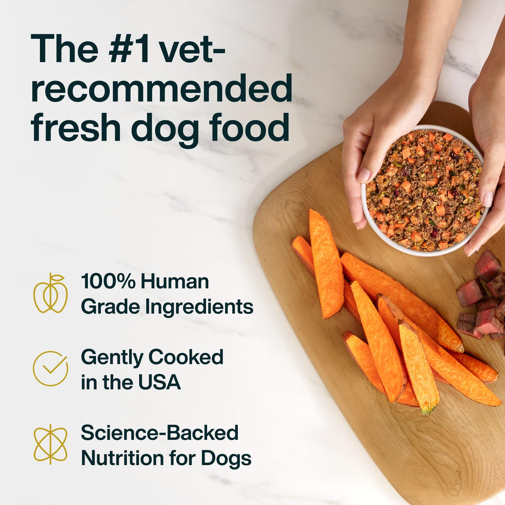 JustFoodForDogs human-grade venison-squash recipe uses fresh ingredients.
